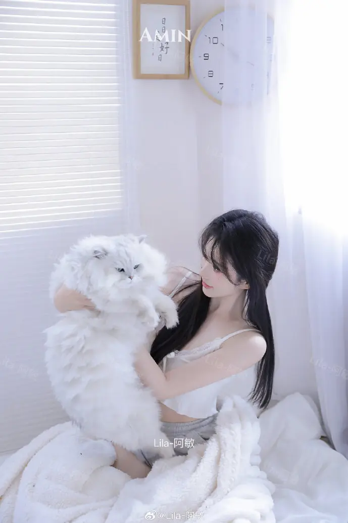 数字圣经使用场景